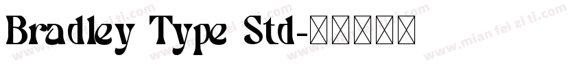 Bradley Type Std字体转换